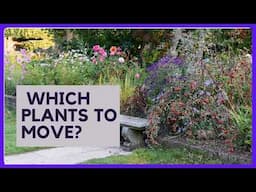 7 Warning Signs That Your Plants are BEGGING to be Moved