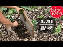 Slugs - My Final Solution