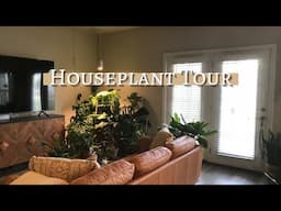 Relaxing Houseplant Tour | Spring 2022 Houseplant Collection