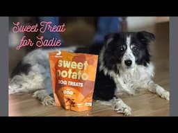 What Makes Sadie's Sweet Potato Treats So Irresistible To Pups? #doglover #dogtreats #dogtraining