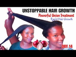 Day 14: See what happened to my Hair when l used Coffee Onion Juice, Oil & Grease for Hair Growth