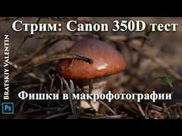 Canon 350D спустя 15 лет, новые фишки по макрофотографии.