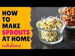 How to make sprouts at home | Sprouts Salad | Sprouting Pulses