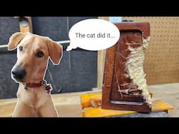 Bad Dog! Repairing a CHEWED Up Wooden Furniture Leg