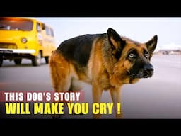 Ek Wafadaar Kuttay Ki Sachchi Kahani ! A Dog Named Palma Explained In Hindi