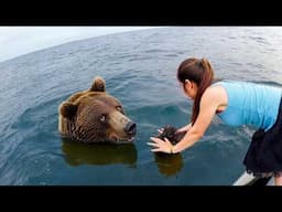 Most Heroic Animal Rescues Caught on Camera