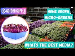 Microgreens DIY Growing: 4 Media Types Tested