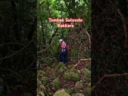 Tombak Sulusulu, Bakkara #laketoba360 #danautoba #batak #humbang #sumut #shortvideo #geopark