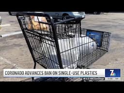 Coronado advances ban on single-use plastics | NBC 7 San Diego