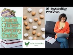 Eggs and Egg Production, how an egg is made, how to sell eggs - Chicken Keeping Course - Part 2