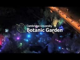 Cambridge Botanic Lights will return in 2024!