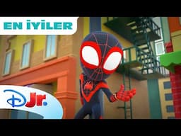 Spidey'nin Yeni Arkadaşları🕷️| Marvel Spidey ve İnanılmaz Arkadaşları | Disney Kids Türkiye