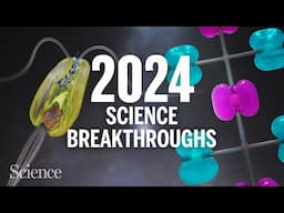 The biggest science breakthroughs in 2024