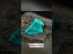 Signs of a Turquoise gem on your Property....