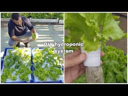 DIY Hydroponic Garden: How to DESIGN and BUILD an INEXPENSIVE SYSTEM for GROWING PLANTS in WATER