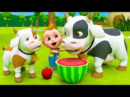 Rain Rain Go Away Song | Zoo Animals Version | Nursery Rhymes & Kids Songs