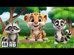 Cute Little Animals Collection: Raccoon, Cheetah, Lemur, Monkey, Elephant - Animal Videos