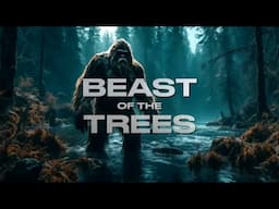 “Beast of the Trees” | 2024 New Bigfoot Video (Cinematic Sasquatch Presentation)