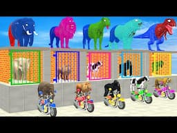 Spider Man with Cow Elephant Gorilla Choose The Right Baby ESCAPE ROOM CHALLENGE Animals Cage Game