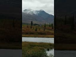 Alaska Gunsight Mountain Sightseeing