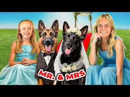 Our Dog Gets MARRIED! Disaster