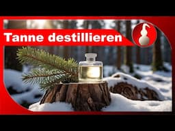 Weihnachtsbaum destillieren - ätherisches Öl selber machen - Destillation als Hobby - diSTILLed