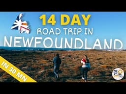 14 DAY CAMPERVAN ROAD TRIP ACROSS NEWFOUNDLAND