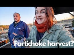 Fartichokes? (a little gardening before the freeze) | VLOG