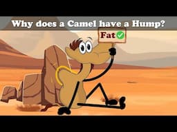 Why does a Camel have a Hump? + more videos | #aumsum #kids #cartoon #whatif