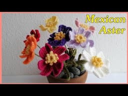 Crochet Mexican Aster flowers | So Gorgeous 😱