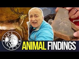 ➤Top 5 Animal Discoveries 🐕🐈 I Time Team