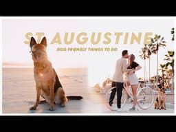 St Augustine Vlog | Dog Friendly Things to Do in St Augustine, FL | Day Trip to St Augustine