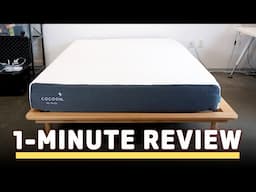 Cocoon Chill 1-Minute Mattress Review