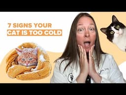 7 Signs Your Cat Is Too Cold