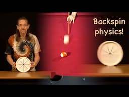 The Physics of Backspin