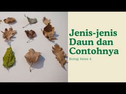 Jenis - Jenis Daun dan Contohnya #jenis #daun #tanaman #bagiantanaman #biologi