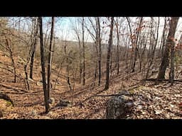 Hiking & Exploring our 575 acre Ozarks property