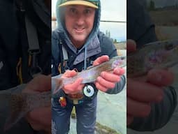 Hatcreek #rainbowtrout on the #flyfishing