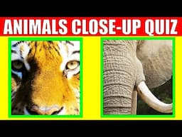 Guess the Animal from Close up Picture | Guess the Animal Game for Kids, Preschoolers and Toddlers