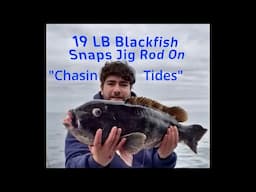 19 LB Blackfish Snaps Rod on Hood Toggers Trip with Chasin Tides