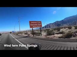 Joshua Tree and Valley of Fire