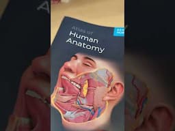 KENHUB Atlas of Human Anatomy