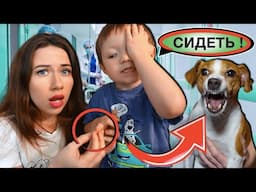 УКУСИЛА ВО ВРЕМЯ ПЕРВОЙ ДРЕССИРОВКИ - Собака Джина и Спарти | Elli Di Pets