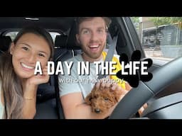 First Day Home With Our Goldendoodle Puppy! (Day In The Life)