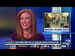 News Anchor Can't Stop Laughing At Bison Story