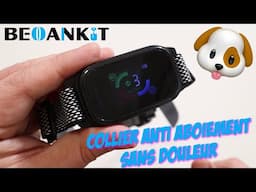 Collier anti aboiement Beoankit : pour apprendre en douceur