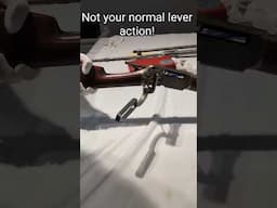 Not Your Normal Lever-Action