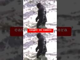 New Bigfoot Photo Connects to Uncovered Report?? 😳  #bigfoot #truth