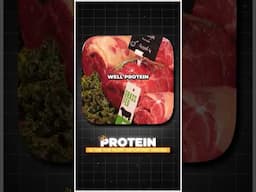 Why Protein is so Important  #healthyfood #mealprep #food