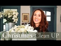 From CHRISTMAS Chaos to Sparkling Clean in THREE DAYS!